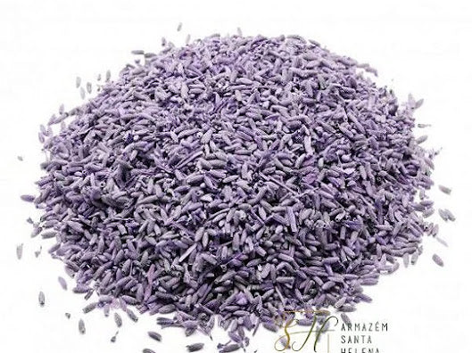 Lavanda ou Alfazema Azul - 100G